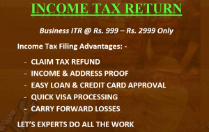 Income Tax Business ITR
